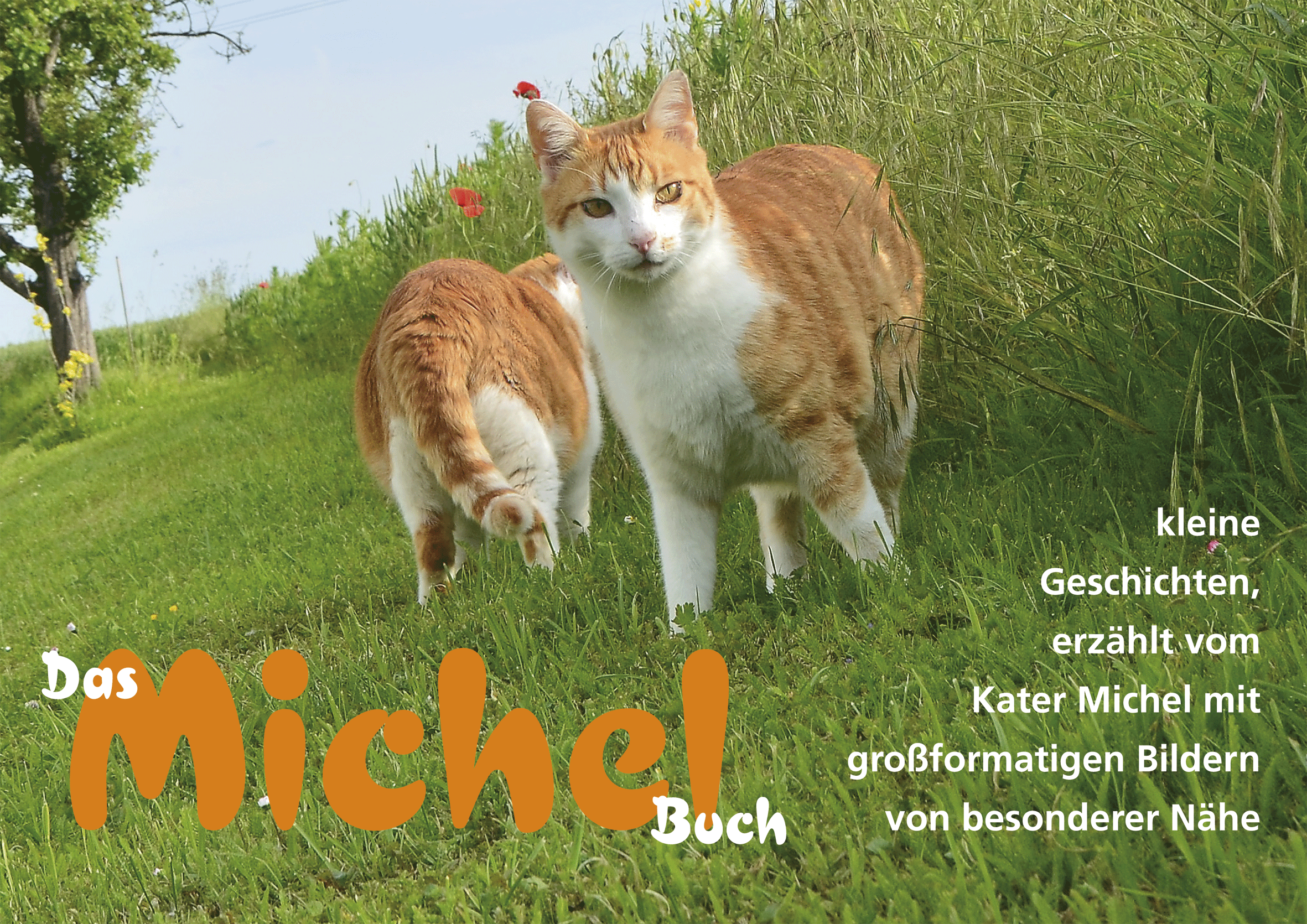 A4Michel