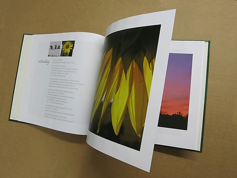 schuldigSonnenaufg-aufgesch